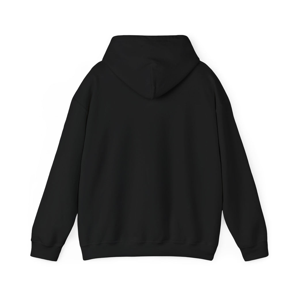 Viking King Graphic Hoodie — Norse Warrior Cloak & Helm Sweatshirt