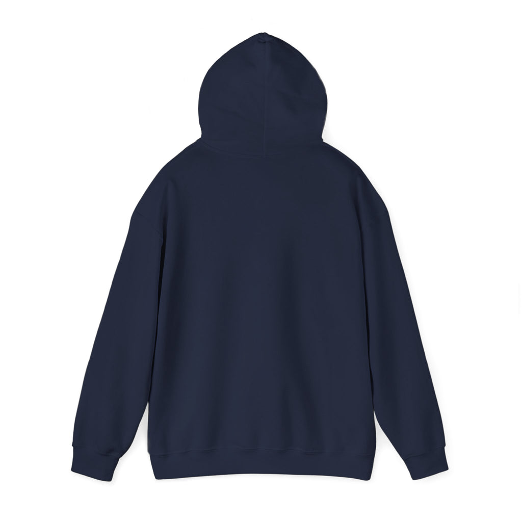 Viking King Graphic Hoodie — Norse Warrior Cloak & Helm Sweatshirt