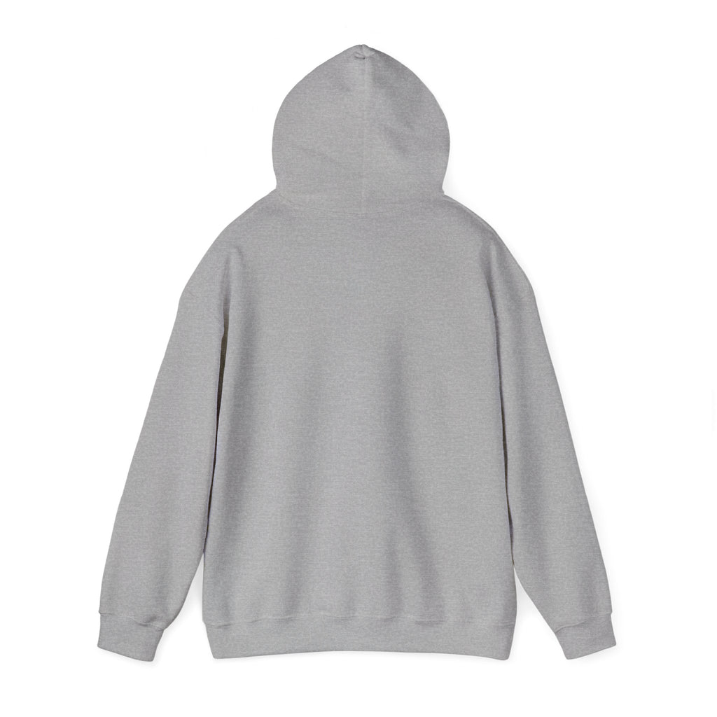 Viking King Graphic Hoodie — Norse Warrior Cloak & Helm Sweatshirt