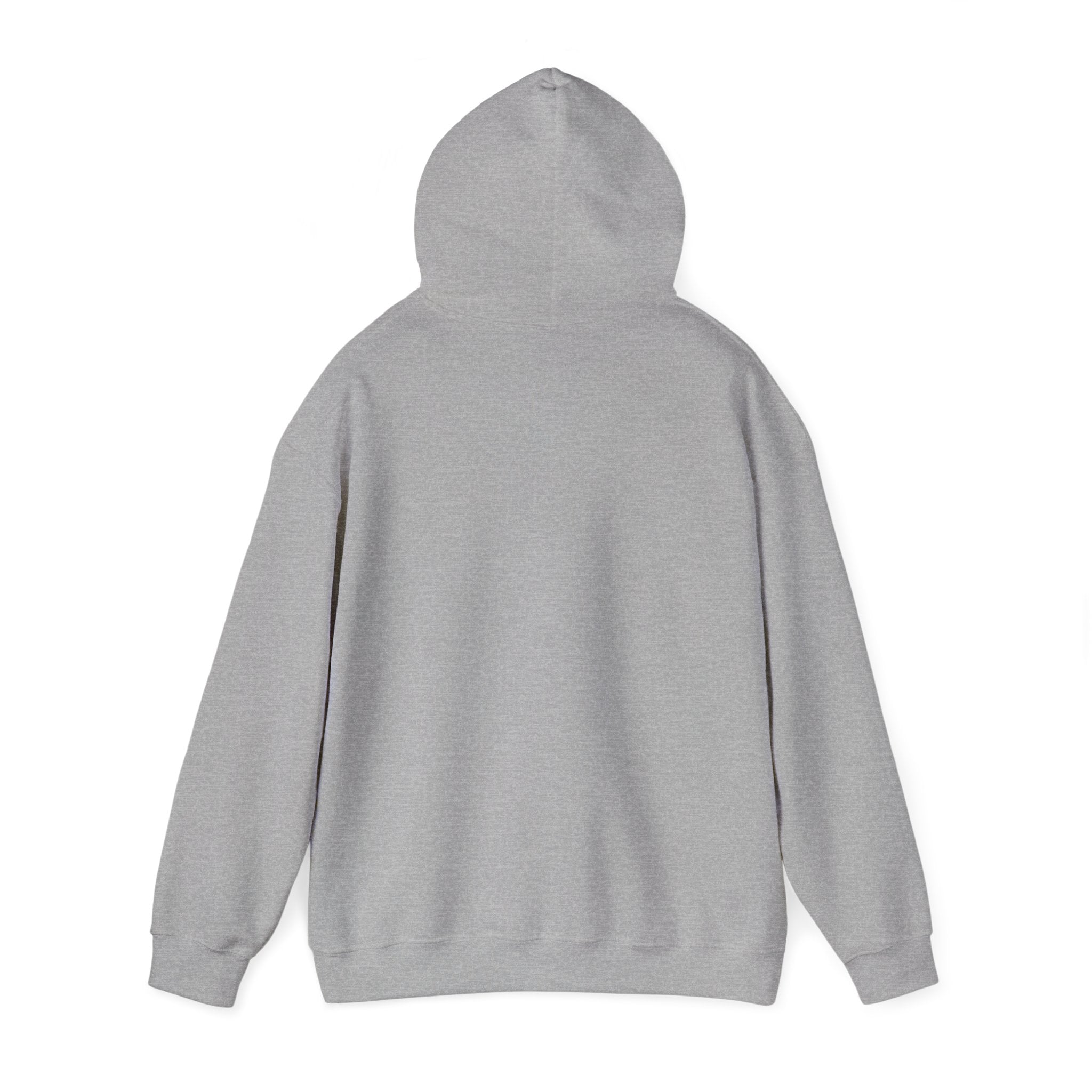 Viking King Graphic Hoodie — Norse Warrior Cloak & Helm Sweatshirt