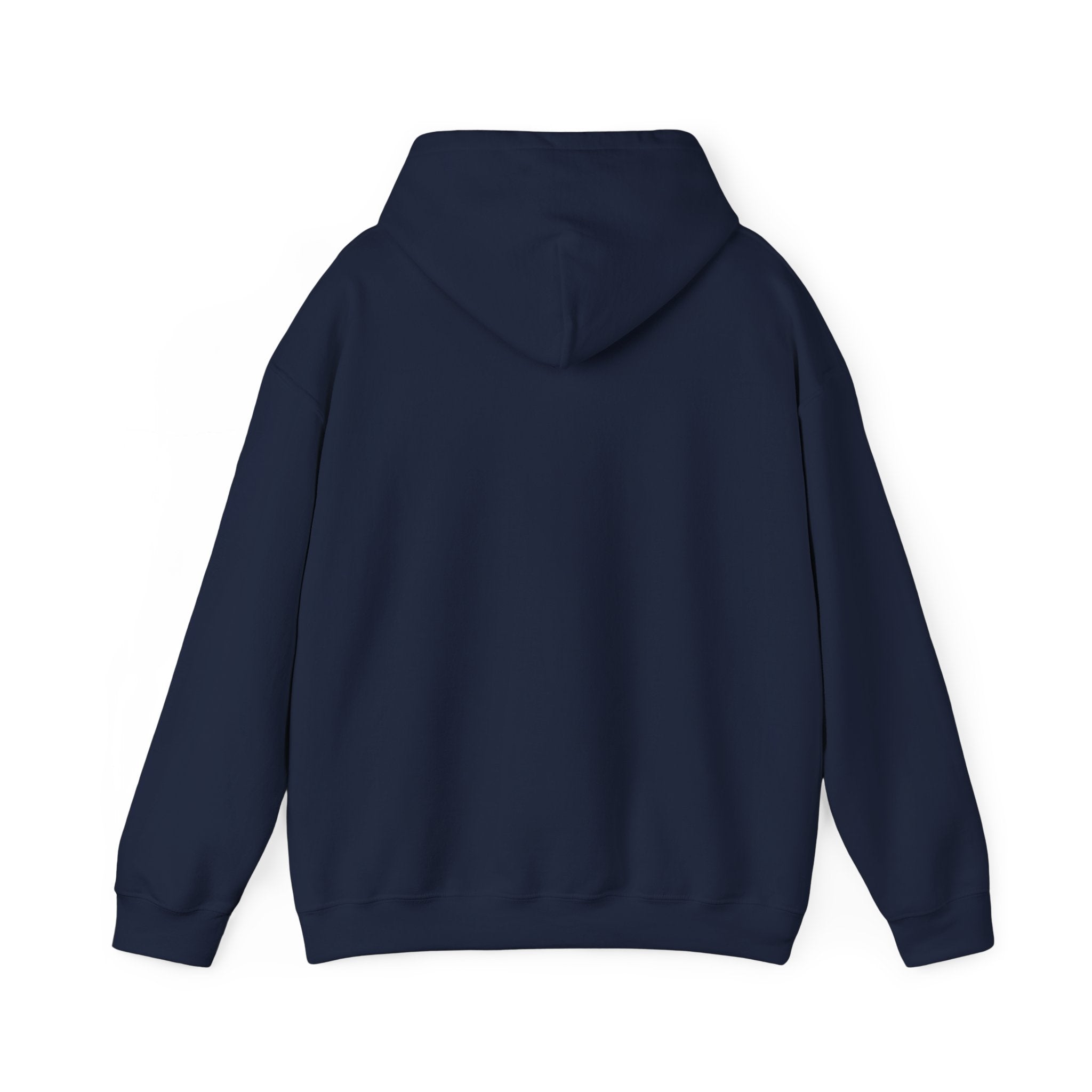Viking King Graphic Hoodie — Norse Warrior Cloak & Helm Sweatshirt